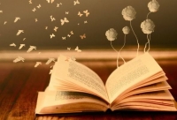 Lengua y Literatura en la Educaci&oacute;n Inicial y Primaria. Algunos aportes sobre su ense&ntilde;anza